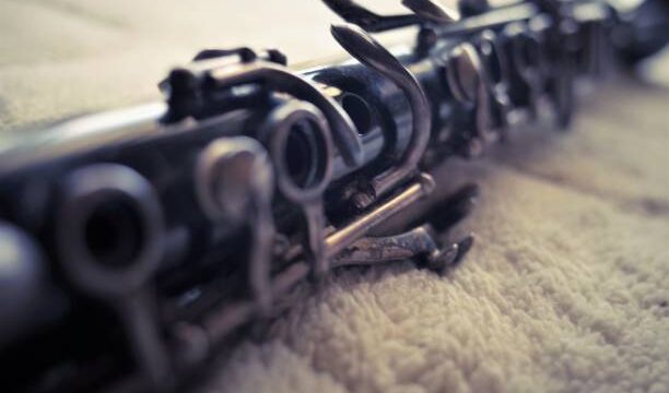 演奏選びに役立つオーボエとクラリネットの違い